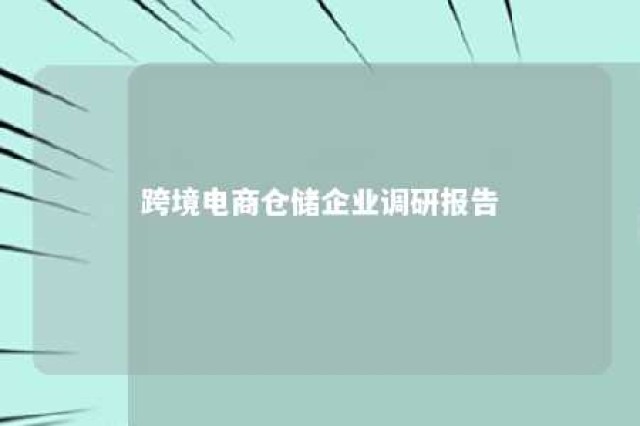 跨境电商仓储企业调研报告 跨境电商仓储问题