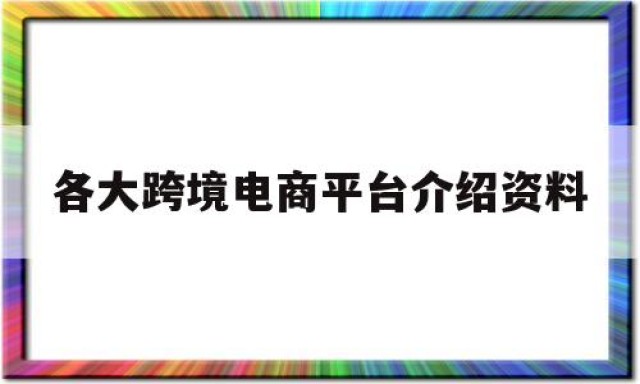 各大跨境电商平台介绍资料